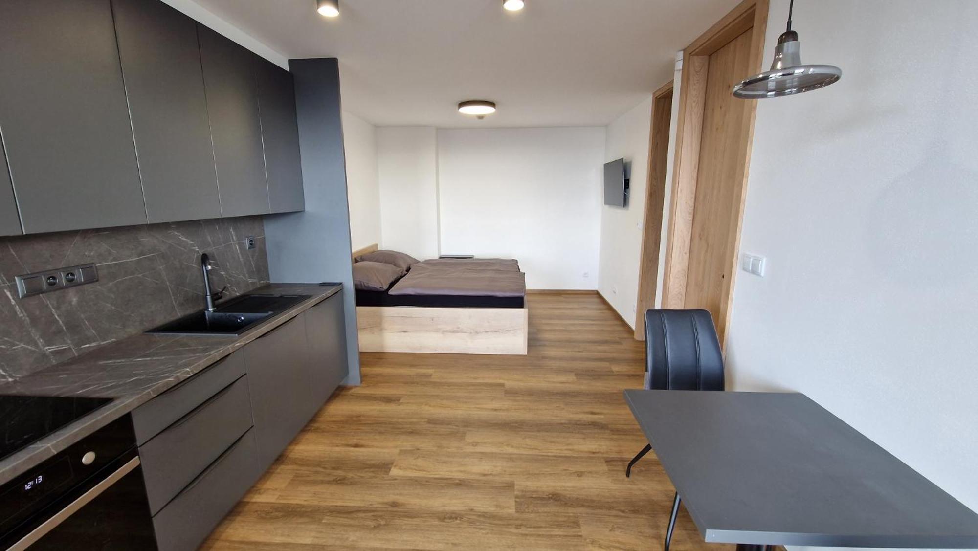 Appartement Luxusni Certak *